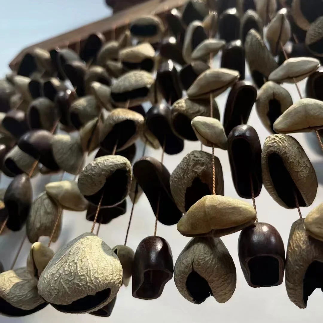 Meditative Fruit Shell Harmony Chimes: Natural Plant Musical Rattles for Mindfulness and Peace

Embrace the beauty of living life fully with our Meditative Fruit Shell Harmony Chimes. These exquisite natural instruments are more than just chimes; they - Grab Life