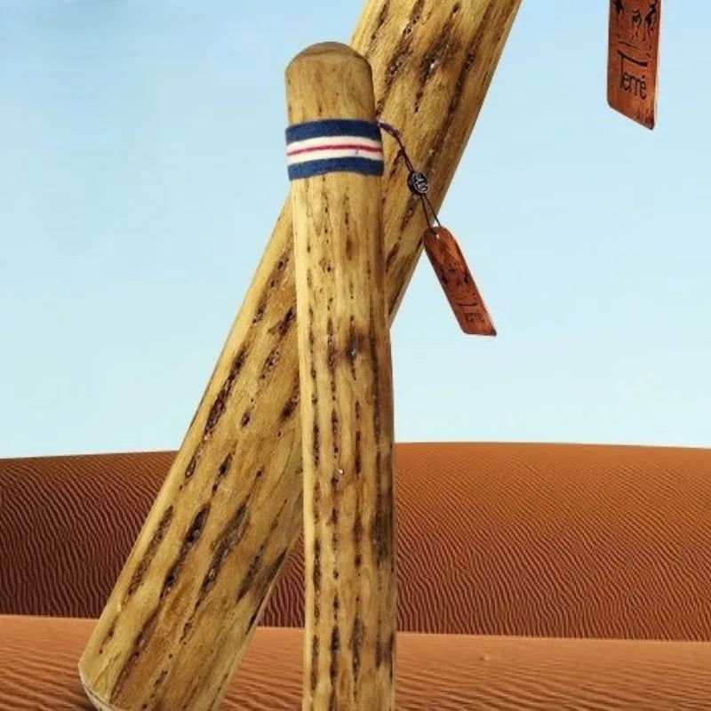 Rainmaker Shaker Cactus Meditation Sleep Rain Stick Imitates Rain Sound Healing Yoga Spiritual Folk Musical Instrument - Grab Life