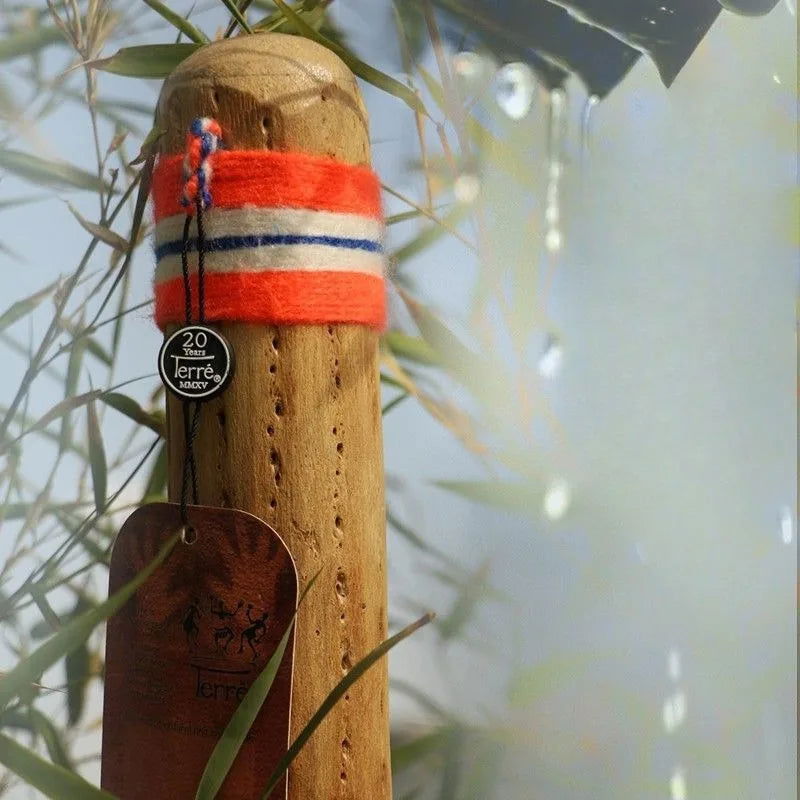 Rainmaker Shaker Cactus Meditation Sleep Rain Stick Imitates Rain Sound Healing Yoga Spiritual Folk Musical Instrument - Grab Life