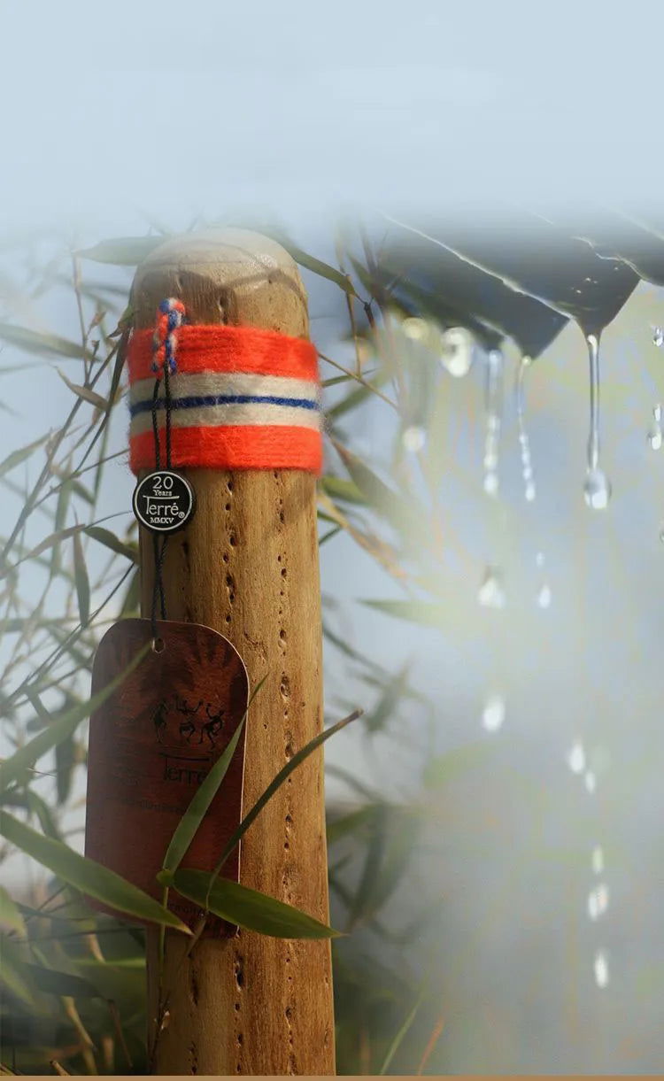 Rainmaker Shaker Cactus Meditation Sleep Rain Stick Imitates Rain Sound Healing Yoga Spiritual Folk Musical Instrument - Grab Life